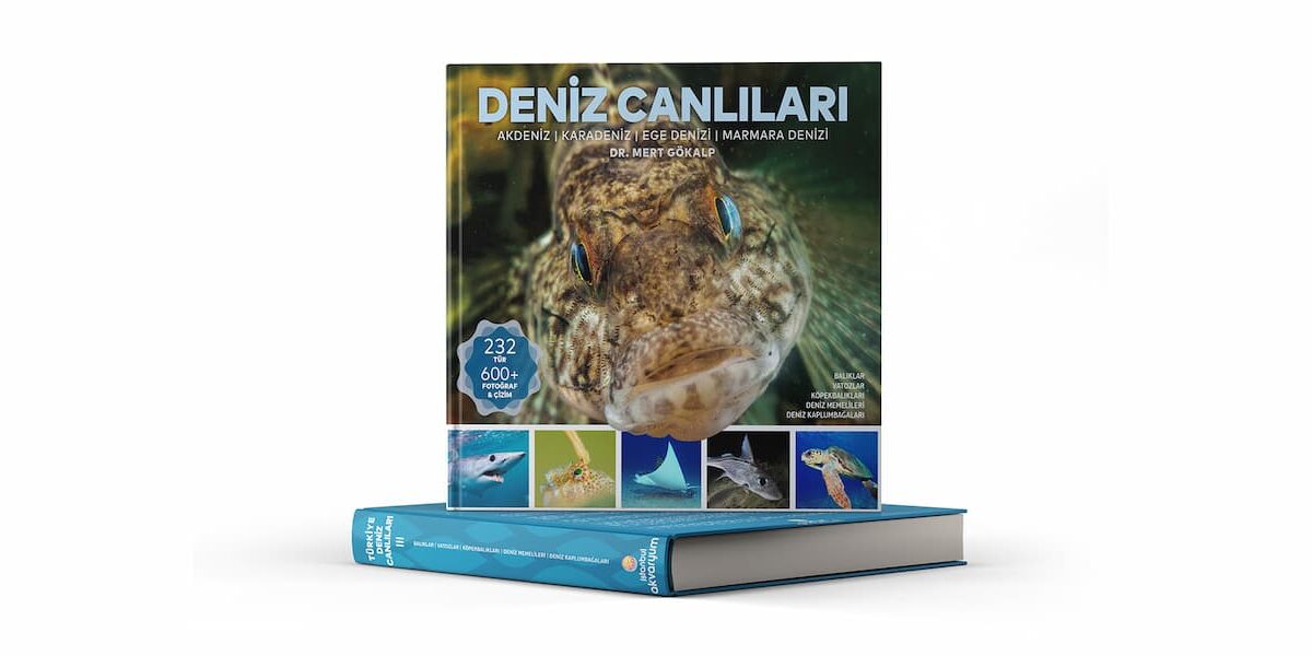 İstanbul Akvaryum, “Deniz Canlıları” Kitabının Sponsoru Oldu